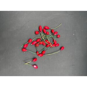Vintage Millinery Supply Set – 12 Count